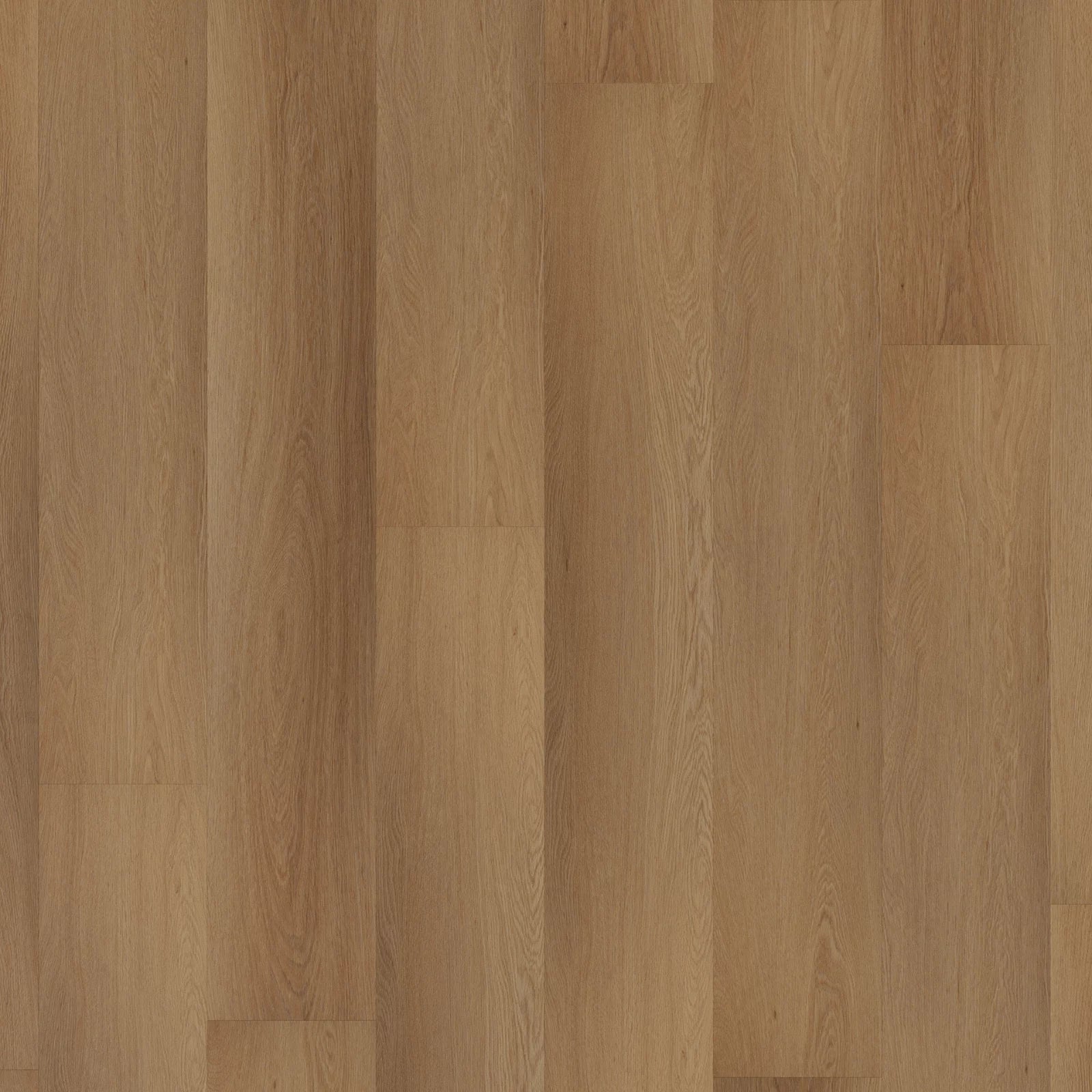 Room 5 Hotel Chique Western Hemlock Plak PVC